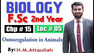 Osmoregulation in animals  Chapter 15  2nd year Biology  Lec  5 [upl. by Reckford]