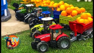 Learn Colors TRAKTOR BRUDER Case Claas Fendt New Holland with Baby ORANGE [upl. by Endo]