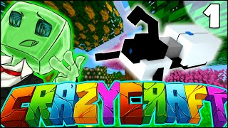 Minecraft CRAZY CRAFT 30 SMP  quotTHE JOURNEY BEGINSquot  Episode 1 [upl. by Ajan434]