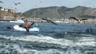 Humpback Whale VS 2 Women in kayaks [upl. by Ahsined]