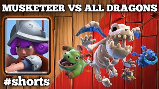 26 Hog Cycle Guide  Musketeer Vs All Dragons  Musk Vs Dragon  How to play 26 Hog Cycle deck F2P [upl. by Ziladnerb]