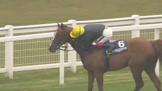 Hes back Stradivarius wins the Longines Sagaro Stakes at Ascot [upl. by Hajar663]