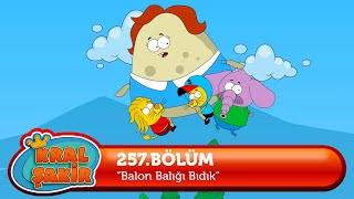 Kral Şakir 257 Bölüm  Balon Balığı Bıdık [upl. by Nahgaem764]