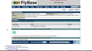 Finding related genesalleles in FlyBase Vocabularies [upl. by Imoin883]