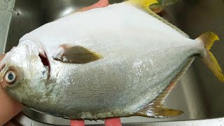 Yum Pompano Fish Recipe  Fish [upl. by Angelle]