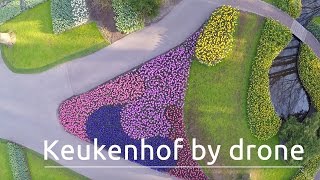 Keukenhof The Worlds Biggest Flower Garden Filmed With A Drone [upl. by Valenza467]