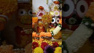 jagganath bhajana🙏viral shorts odia bhajana paida bhitare Pani song [upl. by Lupita326]