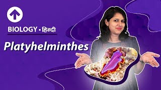 Platyhelminthes  Hindi  Diversity In Living Organisms  Biology Class 9 [upl. by Jeremias]