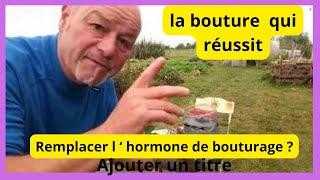 Questce qui peut remplacer lhormone de bouturage [upl. by Nnayllek862]