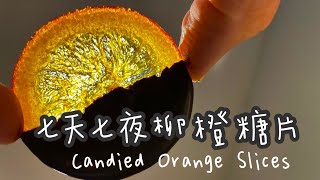 柳橙糖片Candied Orange Slices創業的九十九種甜點699甜點 烘焙 dessert orange [upl. by Elwaine]