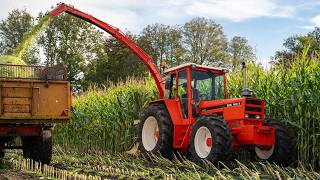 Oldtimer Hakseldag Dalen 2024  Classic maize harvesting  Dozens of tractors amp choppers [upl. by Notkcorb]