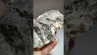 Turritella Agate Wyoming [upl. by Yelich317]