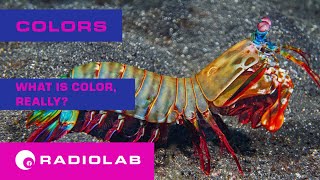 Colors What is Color Really  Radiolab Podcast [upl. by Antonie]