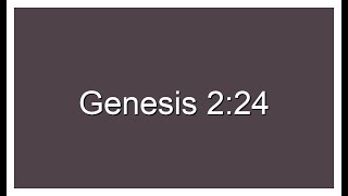 Genesis 224 on loop for 10 minutes [upl. by Nawuj]