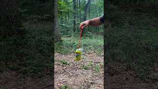 Survival Skills Mosquito and Midge Repellent survival outdoors bushcraft camping [upl. by Vyse821]