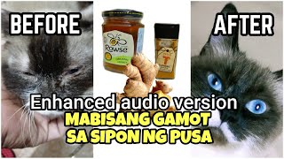 Gamot sa ubo at sipon ng pusa  Paano gamutin ang sipon at ubo  short version and enhanced audio [upl. by Dyoll]