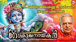 ഭക്തിയുടെ അതിമധുരമുള്ള അനുഭൂതി പകരുന്ന ശ്രീകൃഷ്ണഭക്തിഗാനങ്ങൾ  Sree krishna Songs Malayalam [upl. by Berky]