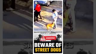 🐈நாய்கள் ஜாக்கிரதை🐺  ⚠️Beware of Street Dogs🦊🕵️விழிப்புணர்வு பதிவு📝 👷Safety Saves🎥 shortsfeed [upl. by Ahsienauq]