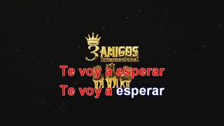 Tragos de amargo licor Karaoke [upl. by Cai906]