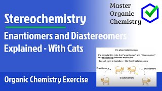 Enantiomers and Diastereomers Explained  With Cats [upl. by Clougher]