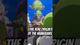 The REAL Origin of Piccolo and the Namekians in Dragon Ball dragonball dbz goku [upl. by Sarina474]