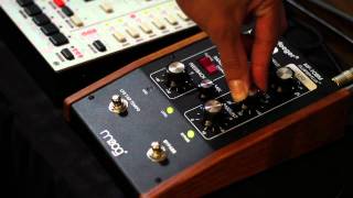 Moog Moogerfooger MF108M Cluster Flux wMonoMachine [upl. by Kristian]