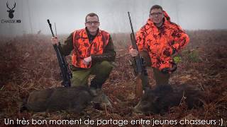 Chasse en Battue de Sangliers  Scènes de Chasse au poste  Chasse HD [upl. by Abehsat]