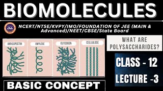 Biomolecules I Polysaccharides I Lecture  3 I Chemistry I Class 12 I Live class [upl. by Narot]