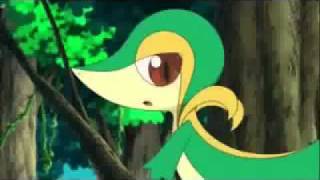 Snivy Sings ❤ Pokemon BW [upl. by Atinas]