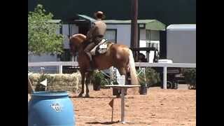 Amuleto VO Working Equitation Ease of Handling 2012 [upl. by Nagad]