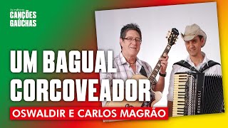 UM BAGUAL CORCOVEADOR  OSVALDIR amp CARLOS MAGRÃO AO VIVO  O SHOW DO SUL [upl. by Attem]