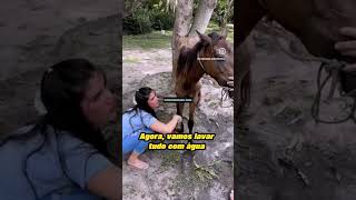 ÉGUA LINDA RESGATADA TERESINA MOMENTO EMOCIONANTE CURIOSIDADES curiosidades resgateanimal horse [upl. by Bellaude]