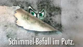 Anleitung Schimmel in Wohnung Wand  Bad entfernen [upl. by Ainolopa]