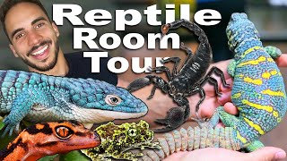 Exotic amp Rare Reptile Room Tour [upl. by Enal]