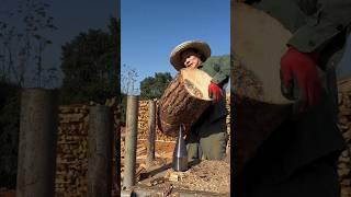 Wood splitting process Goodtools and machinery make work easy [upl. by Cybill372]