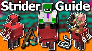 Ultimate Minecraft 120 Strider Guide  How To Ride Striders Fast Breeding Warped Fungus [upl. by Loise457]