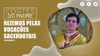 REZEMOS PELAS VOCAÇÕES SACERDOTAIS  cortes  PadreManzottiOficial​ [upl. by Lladnew466]