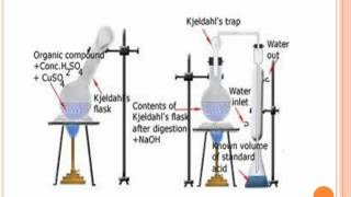 Kjeldahl method of nitrogen estimation [upl. by Siaht]