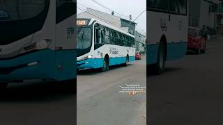 EMPRESA VIAMÃO DE TRANSPORTE COLETIVO LTDA INTINÉRARIO L110T STA ISABEL CENTRO DE FIUZA N602 VIDEO [upl. by Naehgem]