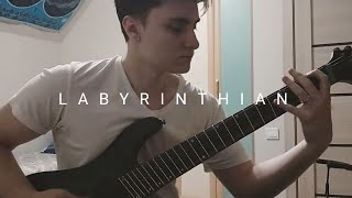 Humanitys Last Breath  Labyrinthian Guitar Cover [upl. by Dnomra]