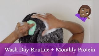 WASH DAY ROUTINE  Monthly Protein Treatment 💆  Step by Step [upl. by Ron]