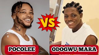 Poco lee vs Odogwu Mara dance challenge Who is the winner [upl. by Neneek]