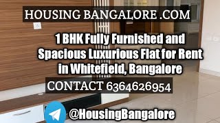 1 BHK Fully Furnished and Spacious Luxurious Flat for Rent in Whitefield Bangalore [upl. by Nohsauq983]