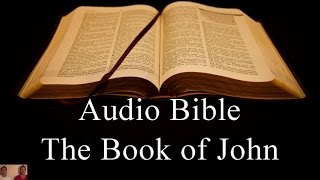 The Book of John  NIV Audio Holy Bible  High Quality and Best Speed  Book 43 [upl. by Uhsoj815]