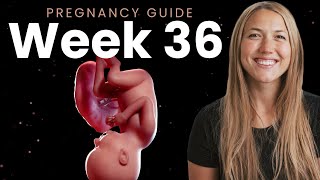 36 Weeks Pregnant  Week By Week Pregnancy [upl. by Gusty]