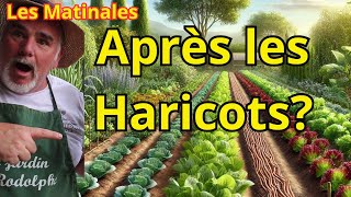 Comment Choisir les Bonnes Cultures Après la Récolte des Haricots [upl. by Athey219]