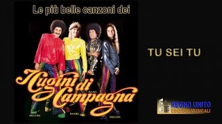 TU SEI TU Official video  I CUGINI DI CAMPAGNA [upl. by Dido]