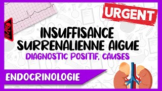 L’Insuffisance Surrénalienne Aigue Signes Cliniques et Paracliniques Causes Facteurs Déclenchant [upl. by Spiers]