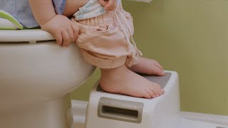 Enseñarle al bebé a ir al baño Potty Training Your Child [upl. by Notnarb225]