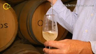 Los vinos de la DOP Condado de Huelva ya pueden denominarse como fino oloroso o amontillado [upl. by Ardeed]